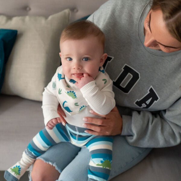 Ziggle Baby Dino Leggings and Socks Set (6 - 12months) - Old Railway Line Garden Centre