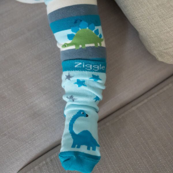 Ziggle Baby Dinosaur Boxed Sock Set (0 - 6months) - Old Railway Line Garden Centre