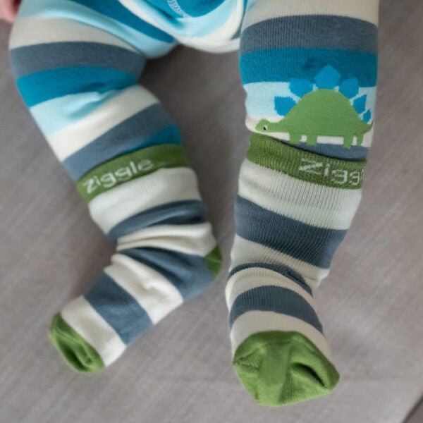Ziggle Baby Dinosaur Boxed Sock Set (6 - 12months) - Old Railway Line Garden Centre