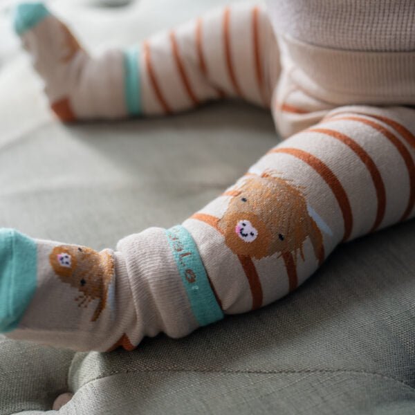 Ziggle Baby Highland Cow Leggings and Socks Set (6 - 12months) - Old Railway Line Garden Centre