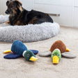 Zoon 40cm Drake ChewPal Dog Toy (Choice of 2) - Old Railway Line Garden Centre