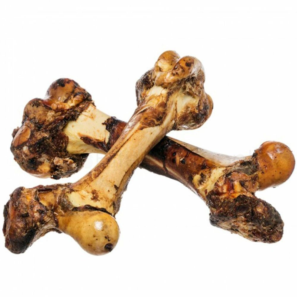 Hollings Large Roasted Jurassic Whole Bone