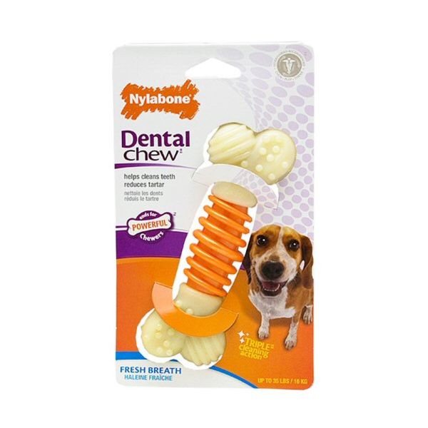 Nylabone Medium Pro Action Dental Dog Chew