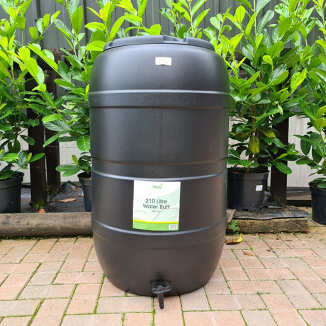 210L WATER BUTT - Old Railway Line Garden Centre