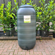 250L SLIMLINE WATER BUTT - Old Railway Line Garden Centre