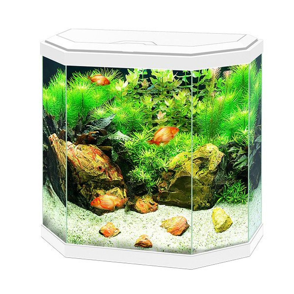 Ciano Aqua 30 White Aquarium With LED Light