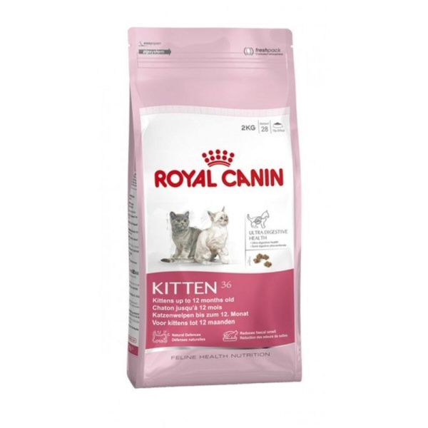 Royal Canin 400g Kitten 36 Cat Food
