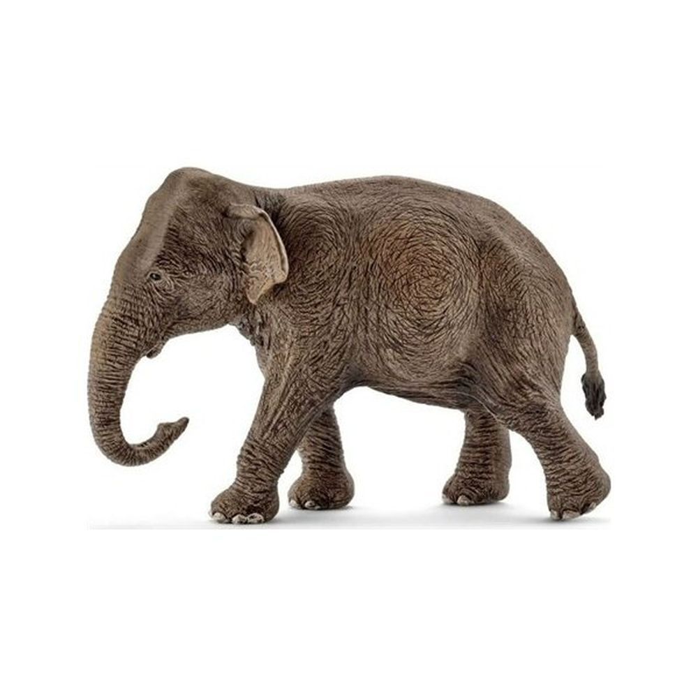 Schleich Asian Elephant Female