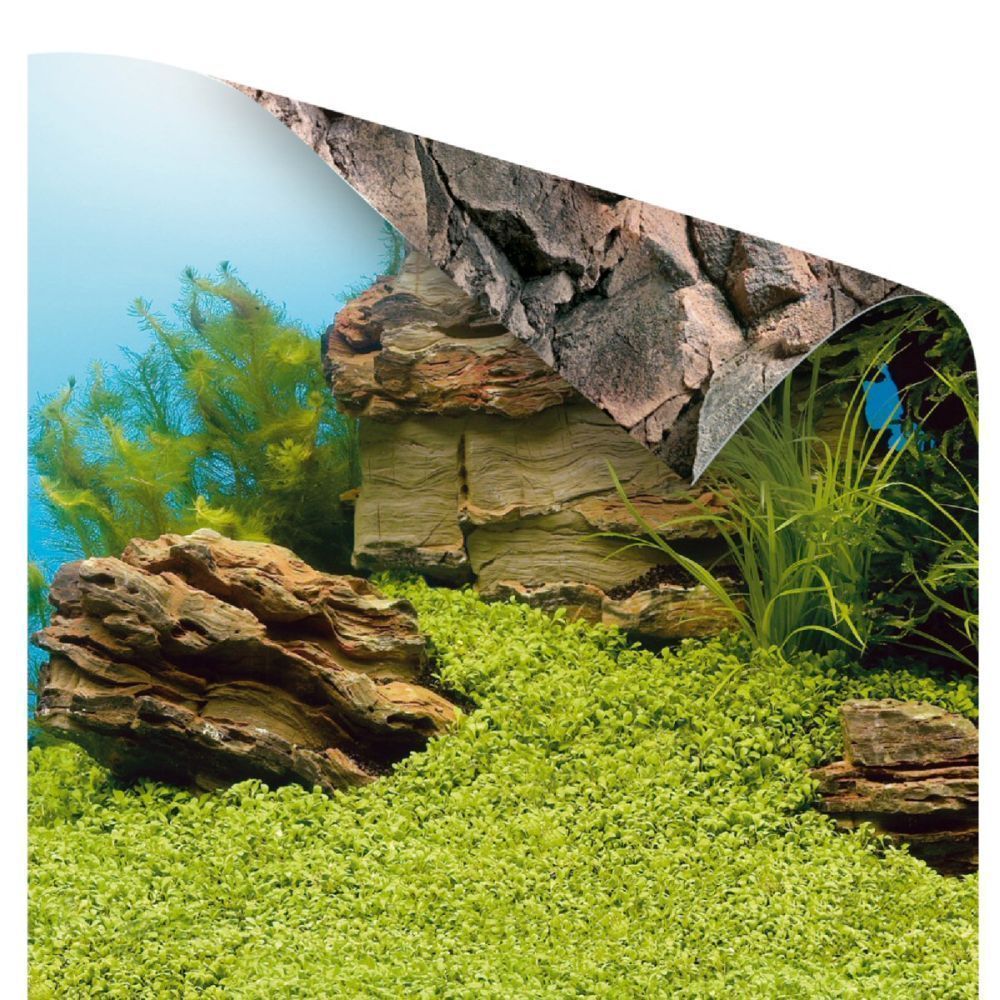 Juwel Small 60cm Plant/Reef Backround Poster