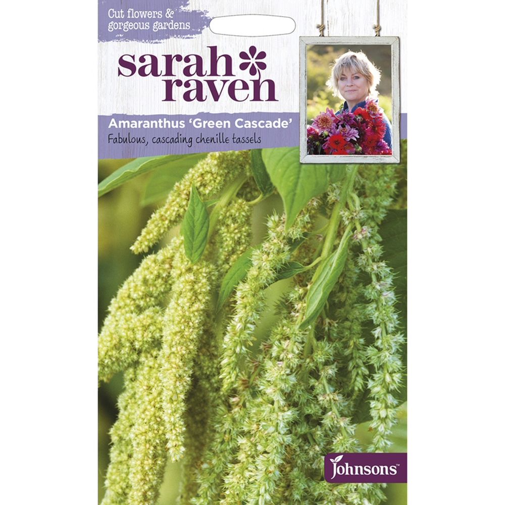 Sarah Raven Amaranthus 'Green Cascade' Seeds