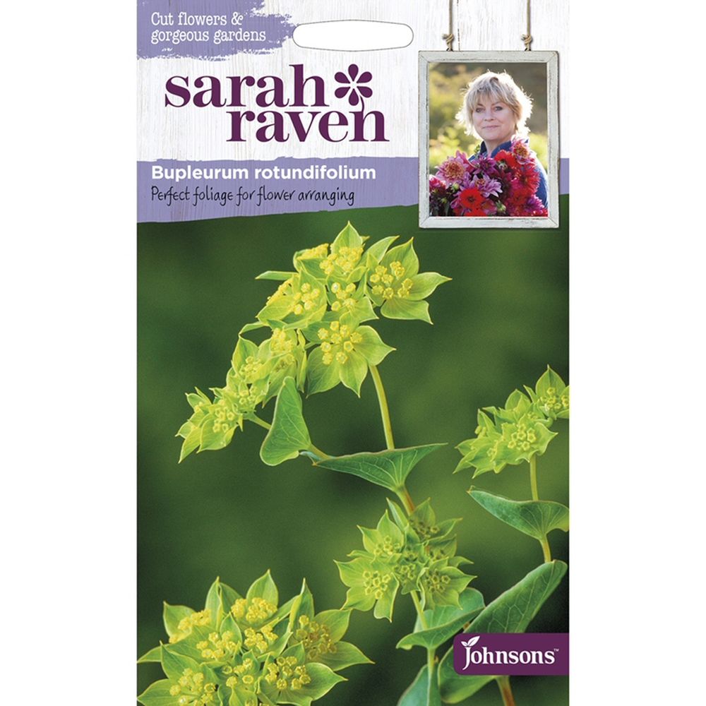 Sarah Raven Bupleurum Rotundifolium Seeds