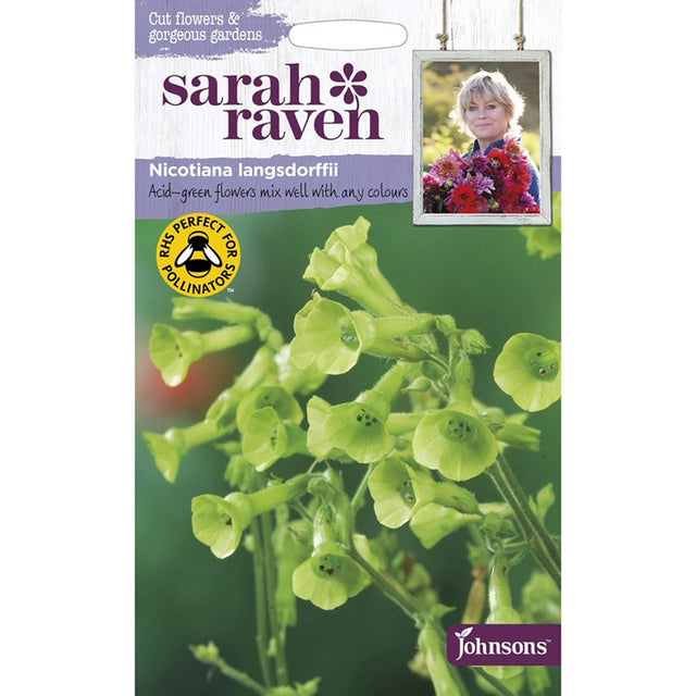 Sarah Raven Nicotiana Llangsdorffii Seeds
