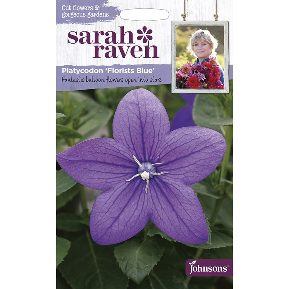 Sarah Raven Platycodon 'Florists Blue' Seeds