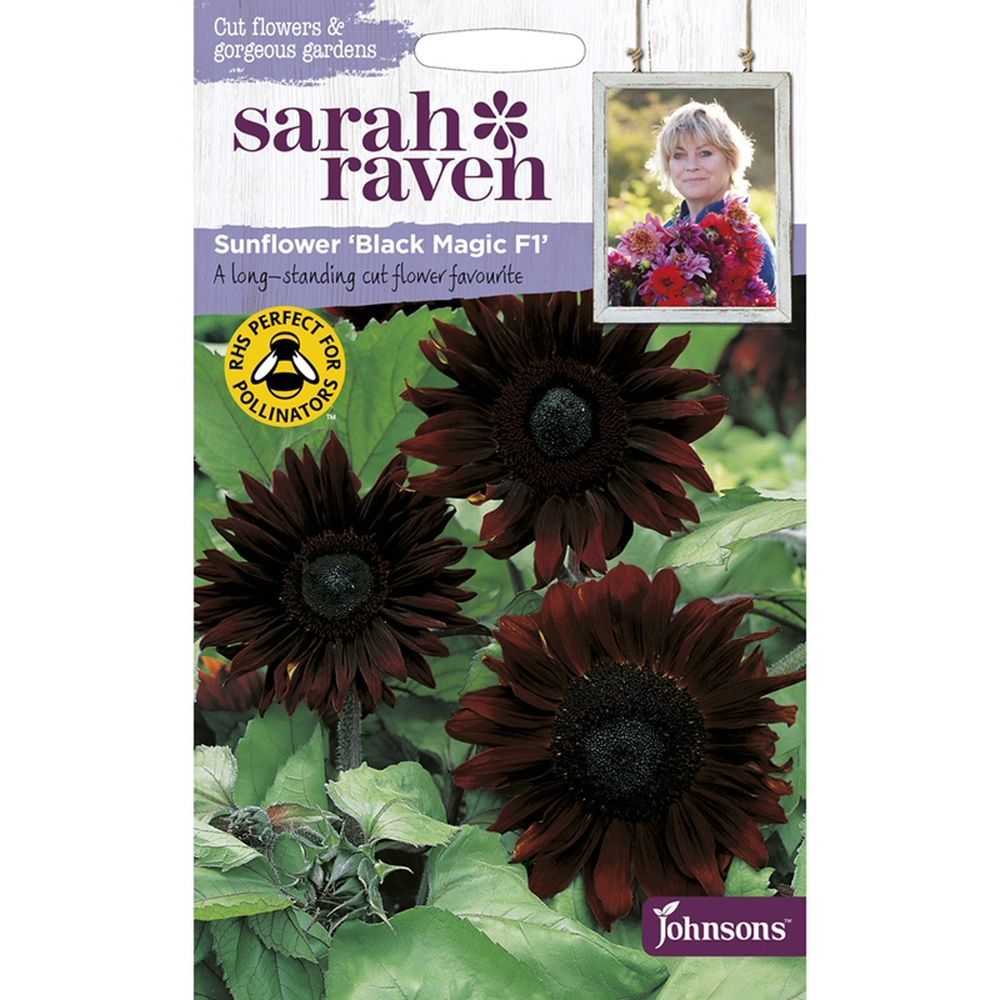 Sarah Raven Sunflower 'Black Magic F1' Seeds