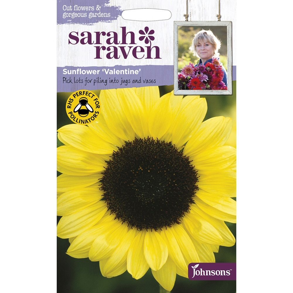 Sarah Raven Sunflower 'Valentine' Seeds