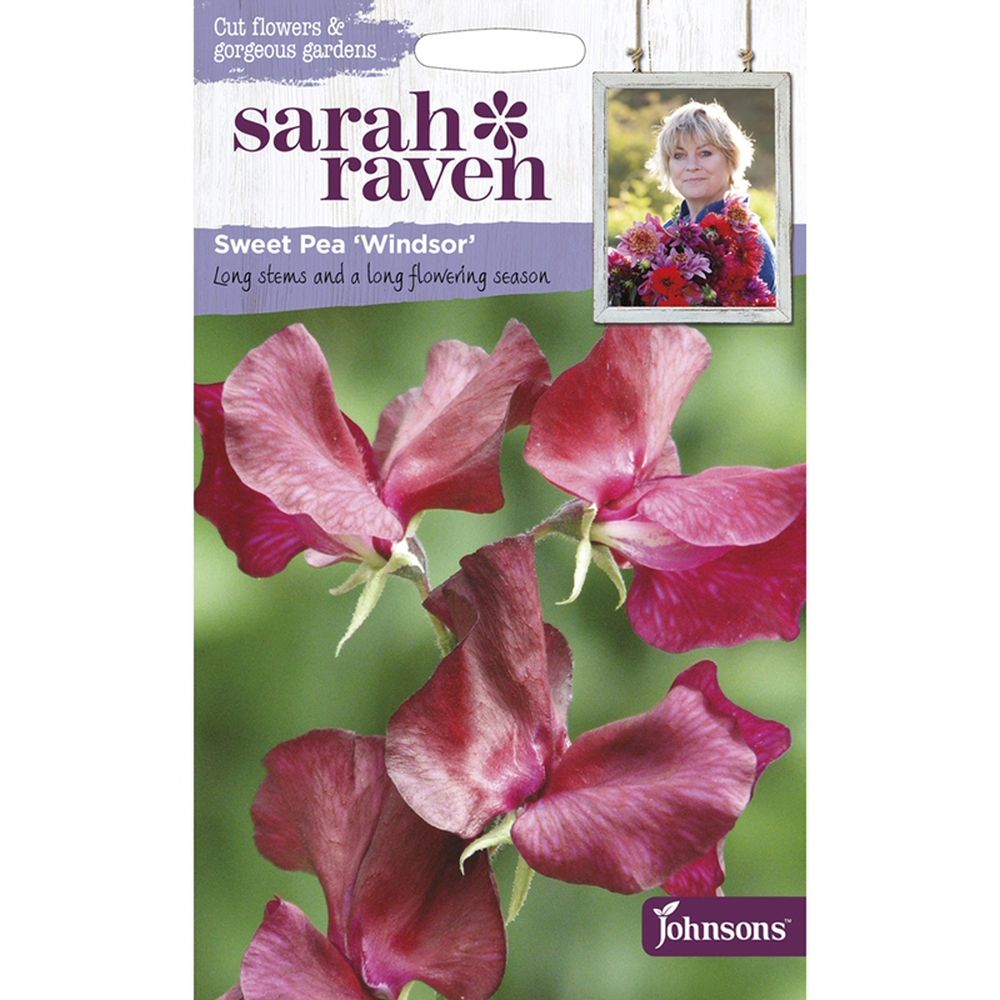 Sarah Raven Sweet Pea 'Windsor' Seeds