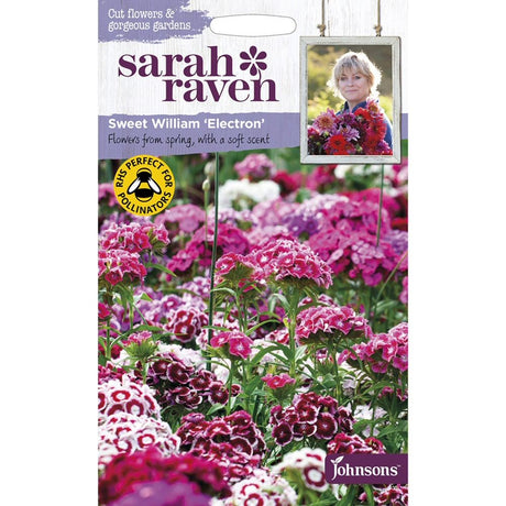 Sarah Raven Sweet William 'Electron' Seeds