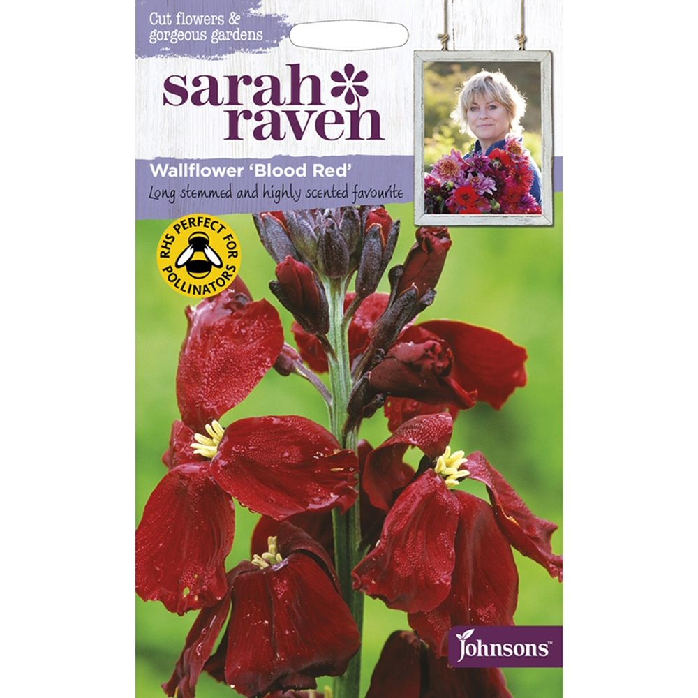 Sarah Raven Wallflower 'Blood Red' Seeds