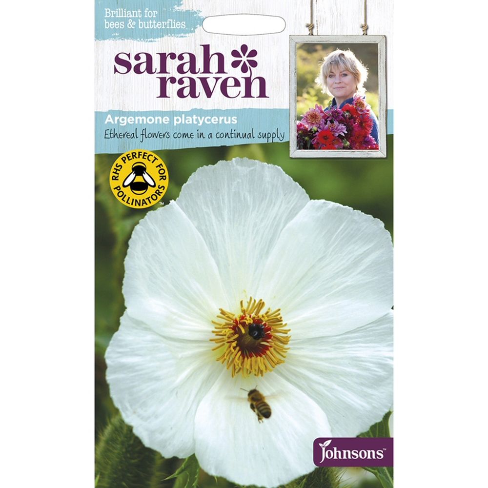 Sarah Raven Argemone Platycerus Prickly Poppy Seeds