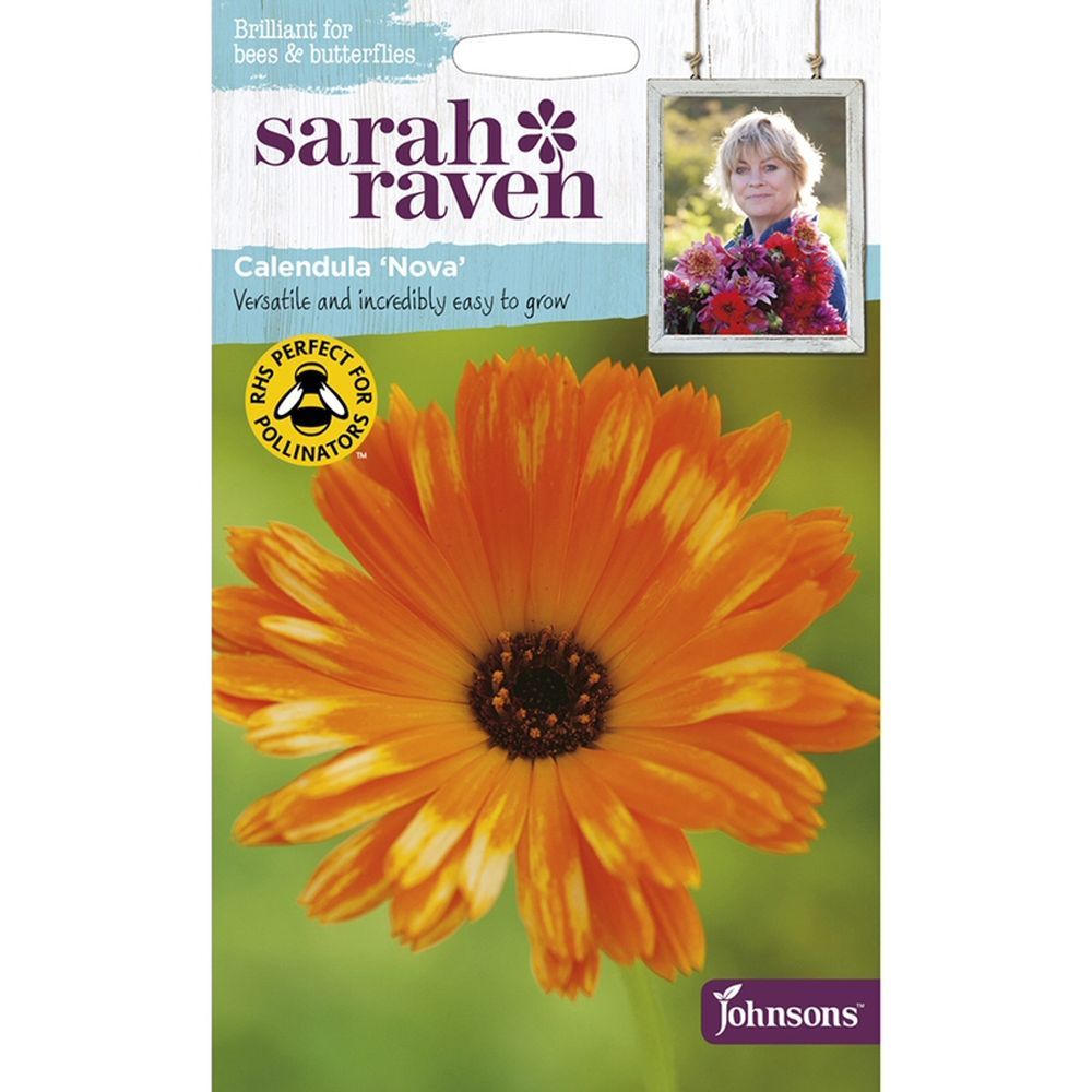 Sarah Raven Calendula 'Nova' Seeds Old Railway Line Garden Centre