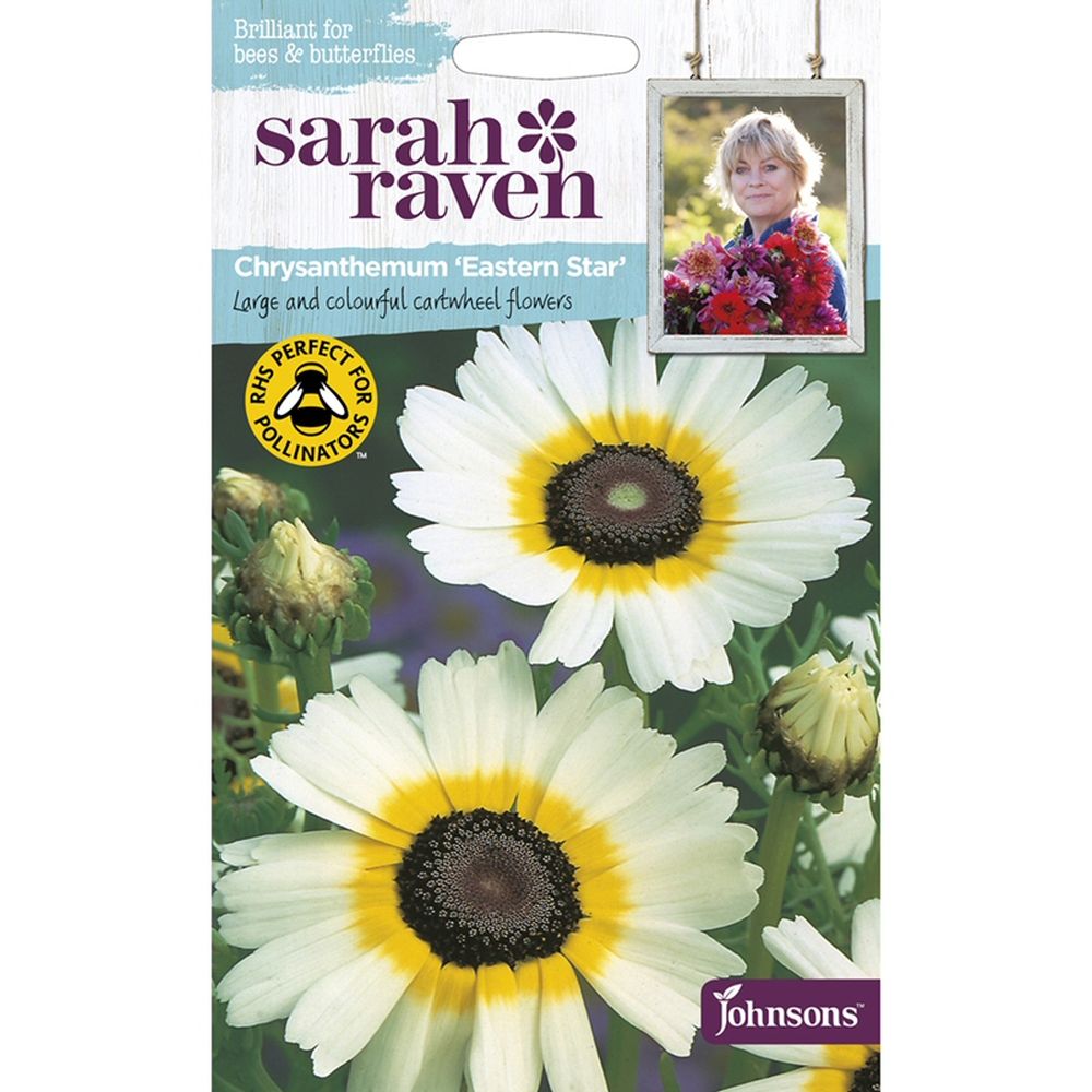 Sarah Raven Chrysanthemum 'Eastern Star' Seeds