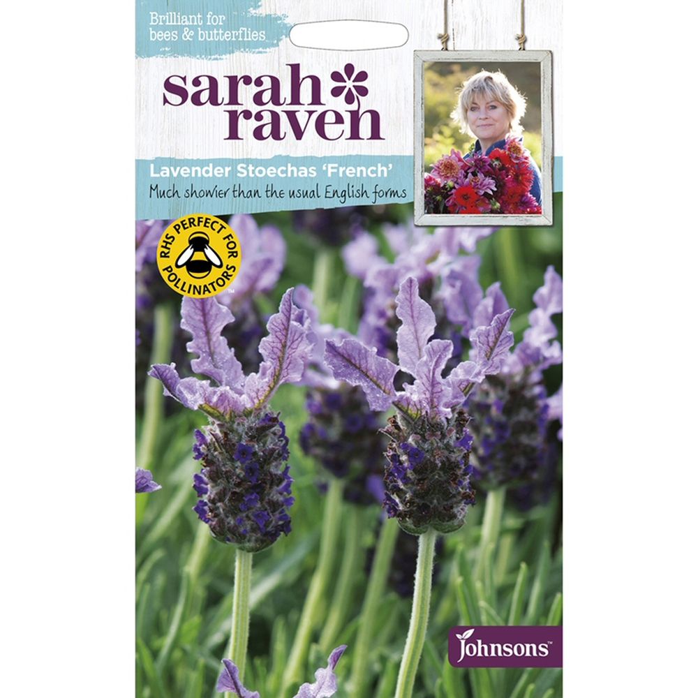 Sarah Raven Lavender Stoechas 'French' Seeds