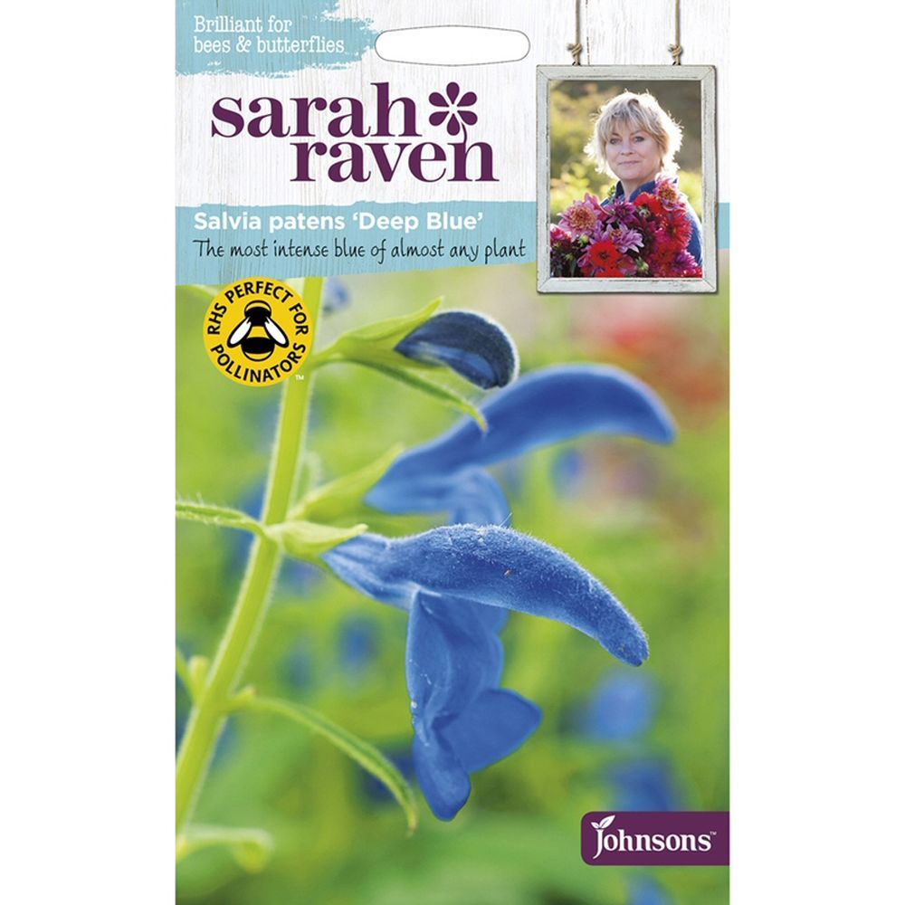 Sarah Raven Salvia Patens 'Deep Blue' Seeds