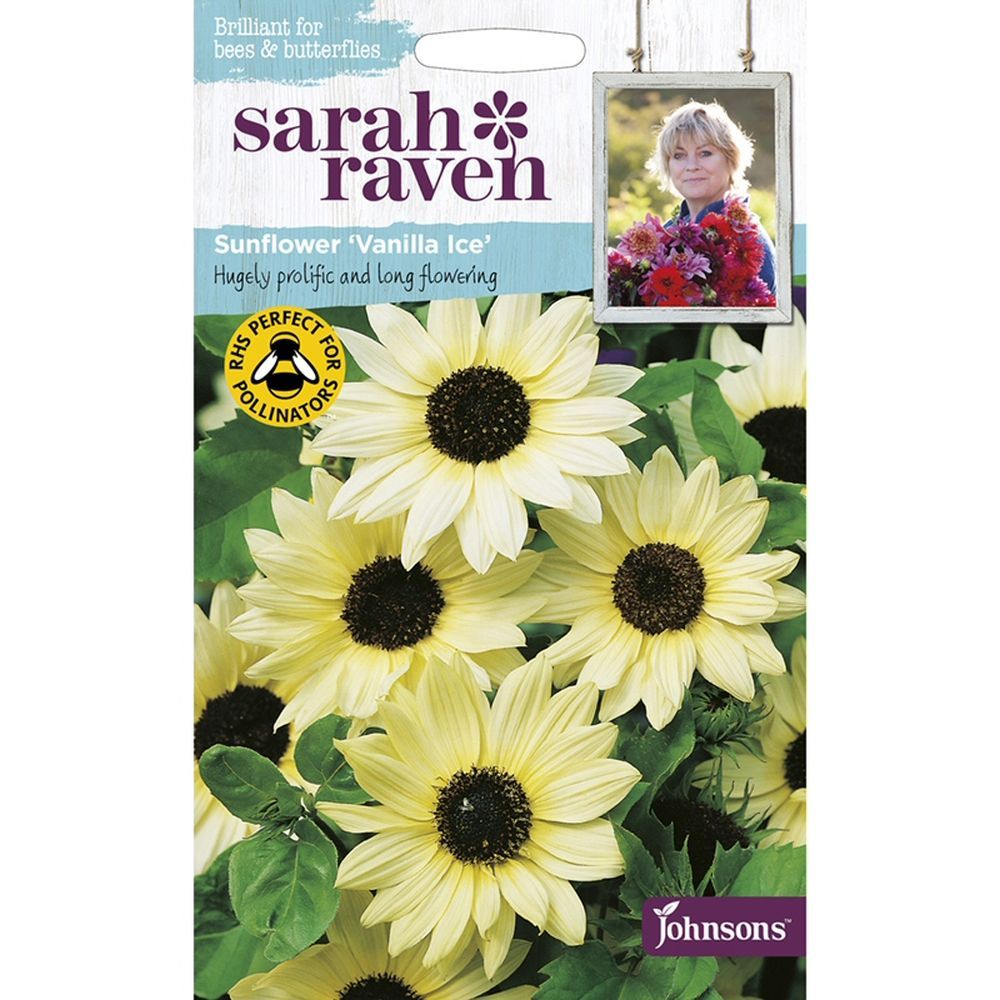 Sarah Raven Sunflower 'Vanilla Ice' Seeds