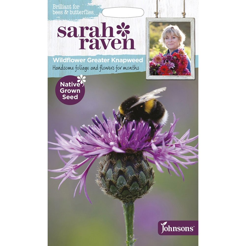Sarah Raven Wildflower Greater Knapweed Seeds