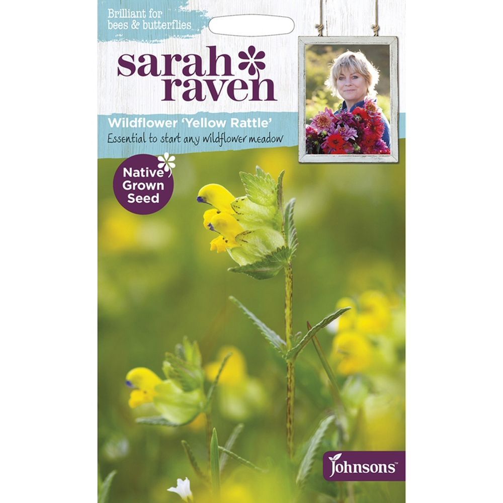 Sarah Raven Wildflower 'Yellow Rattle' Seeds