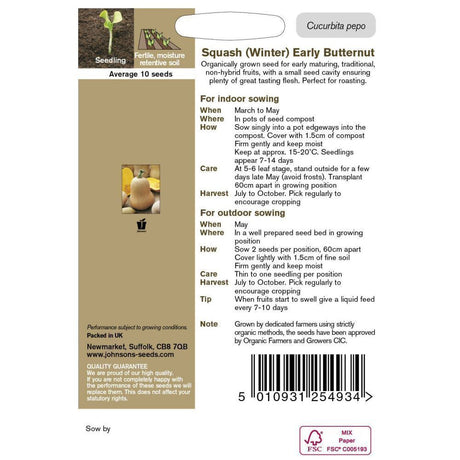 Johnson's Squash Early Butternut (Organic)