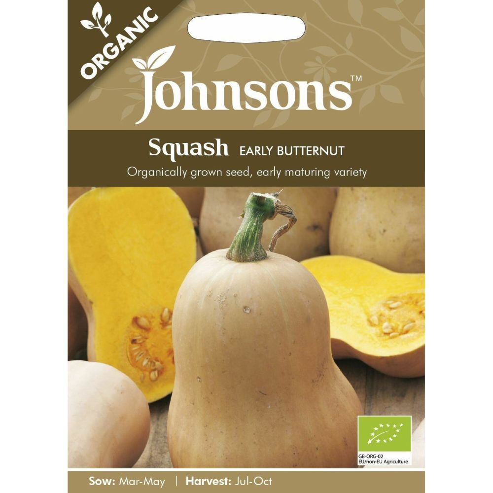 Johnson's Squash Early Butternut (Organic)