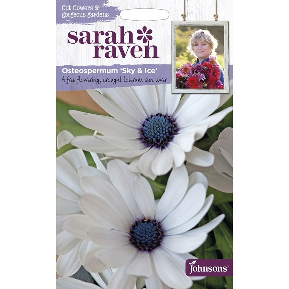 Sarah Raven Osteospermum 'Sky & Ice' Seeds