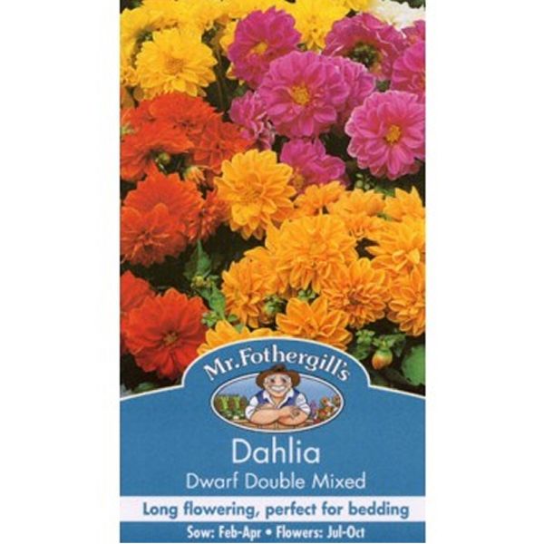 Mr Fothergill's Dahlia Dwarf Double Mixed