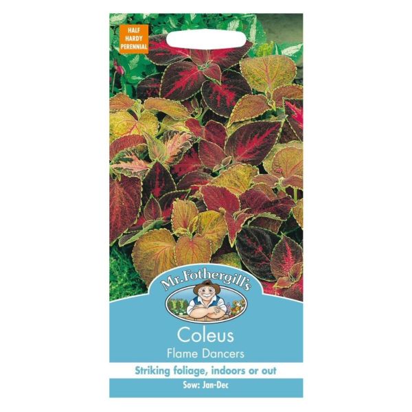 Mr Fothergill's Coleus Flame Dancers Seeds