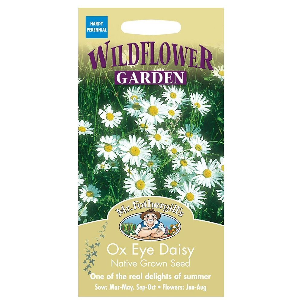 Mr Fothergill's Wildflowers Chrysanthemum Ox Eye Daisy Seeds