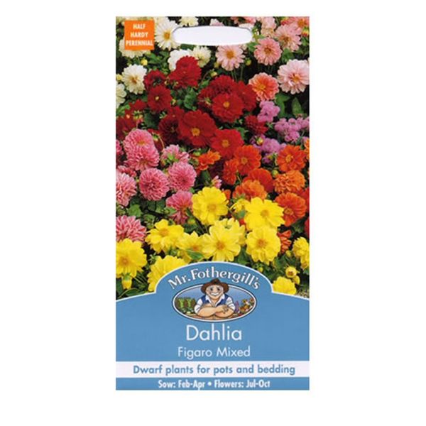 Mr Fothergill's Dahlia Figaro Mixed