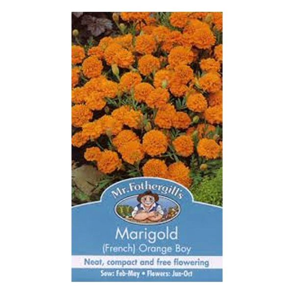 Mr Fothergill's Marigold (French) 'Orange Boy' Seeds