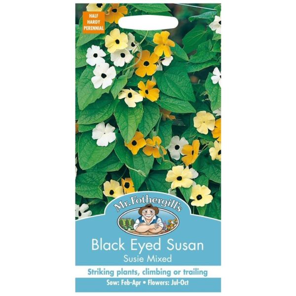 Mr Fothergill's Black-eyed Susan Susie Mixed Seeds