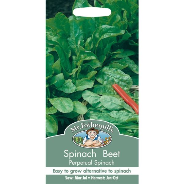 Mr Fothergill's Beet Leaf 'Perpetual Spinach' Seeds