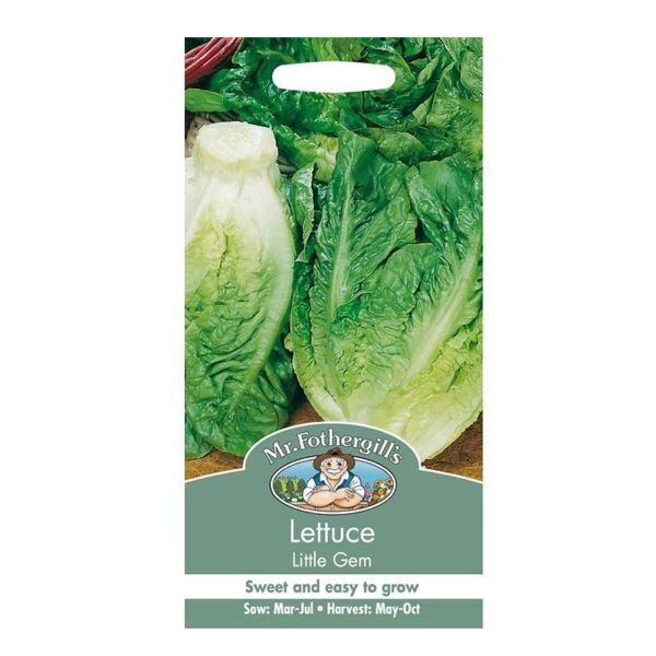 Mr Fothergill's Lettuce Little Gem Seeds