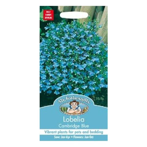 Mr Fothergill's Lobelia Cambridge Blue Seeds