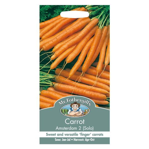 Mr Fothergill's Carrot Amsterdam Forcing 2 Solo Seeds