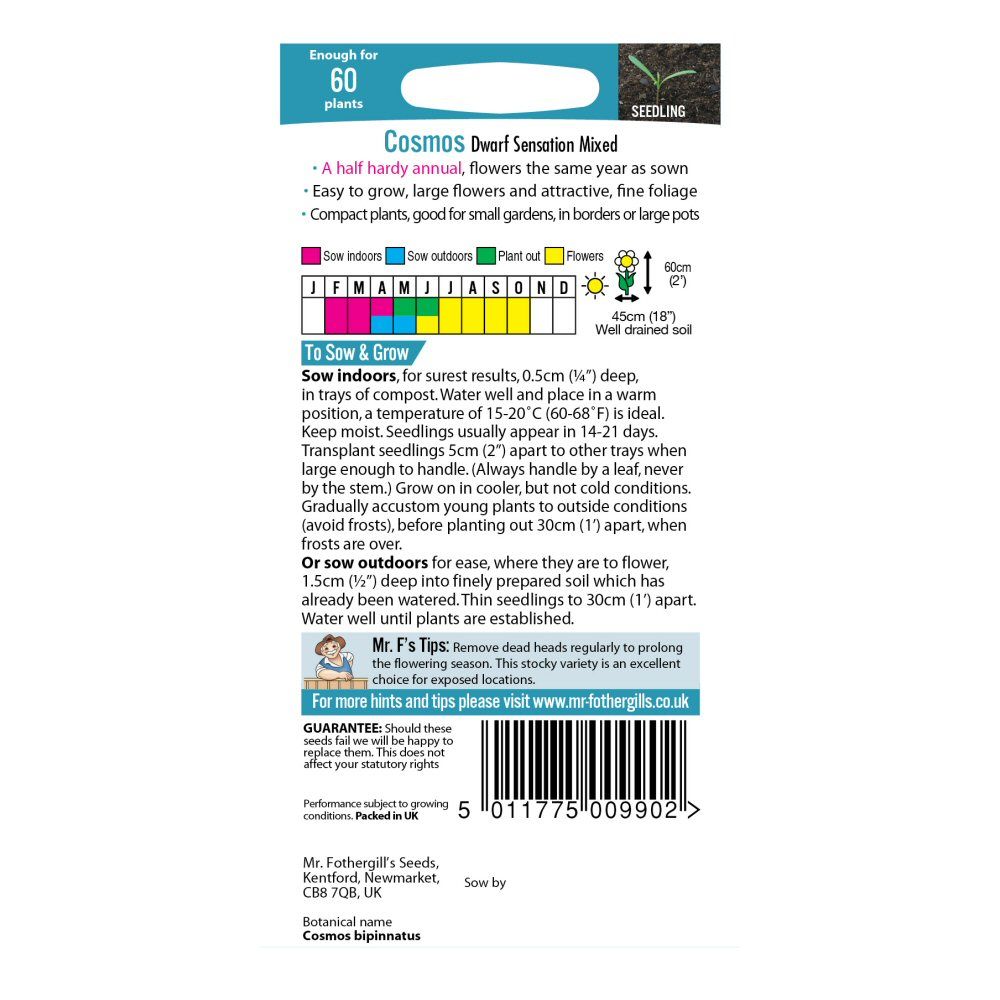 Mr Fothergill's Cosmos Dwarf Sensation Mixed Seeds