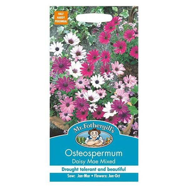 Mr Fothergill's Osteospermum Daisy Mae Mixed Seeds