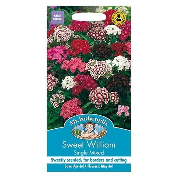 Mr Fothergill's Sweet William Single Mixed Seeds