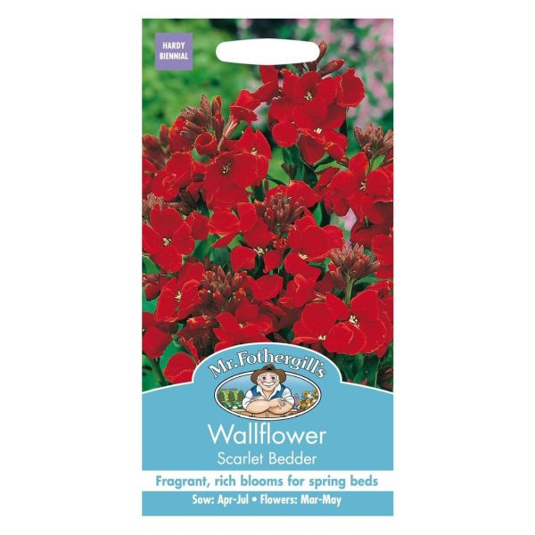 Mr Fothergill's Wallflower Scarlet Bedder Seeds