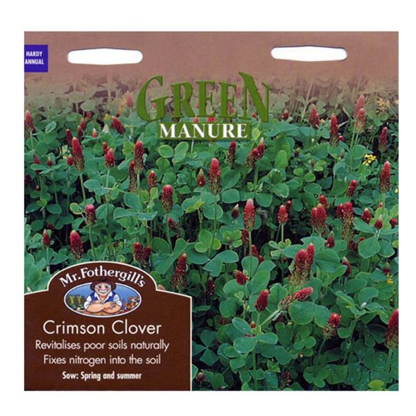 Mr Fothergill's Green Manure Crimson Clover Seeds