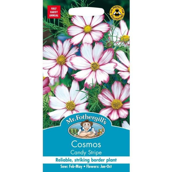 Mr Fothergill's Cosmos 'Candy Stripe' 60 Seeds