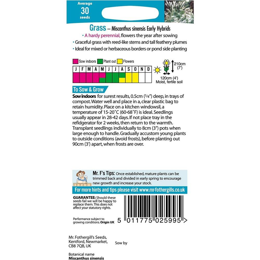 Mr Fothergill's Grass Sliver Grass- Miscanthus Sinensis Flower Seeds